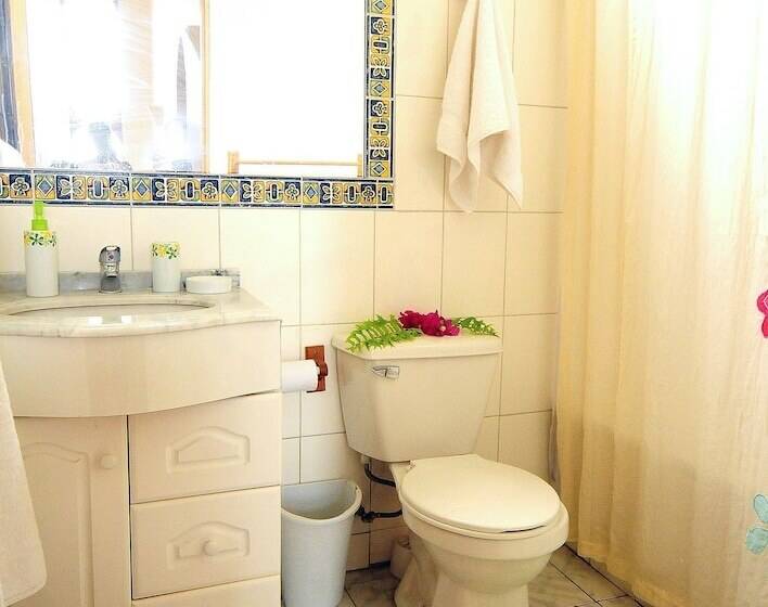 호텔 Y Cabañas Tea Nui