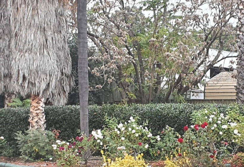 The Aston Motel Tamworth