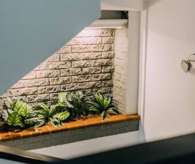 Mándala Hotel Belén