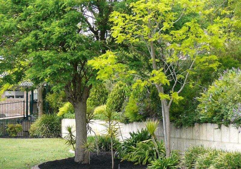 リゾートホテル Quality Apartments Banksia Albany