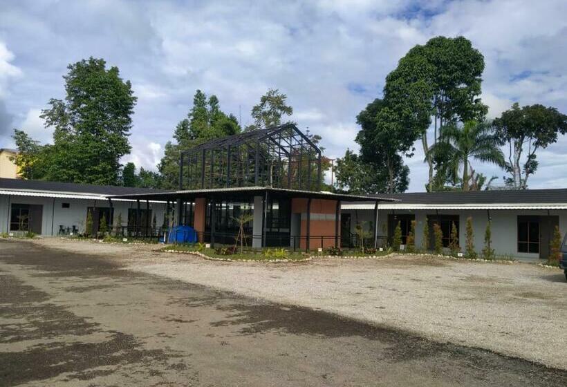 הוסטל The Sasta