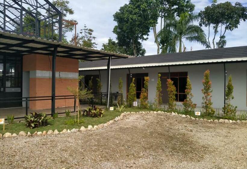 فندق صغير The Sasta