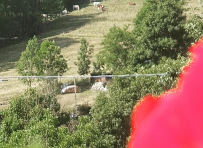 민박 Antica Casa Occitana