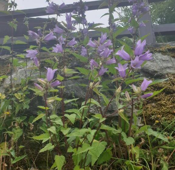 민박 Antica Casa Occitana