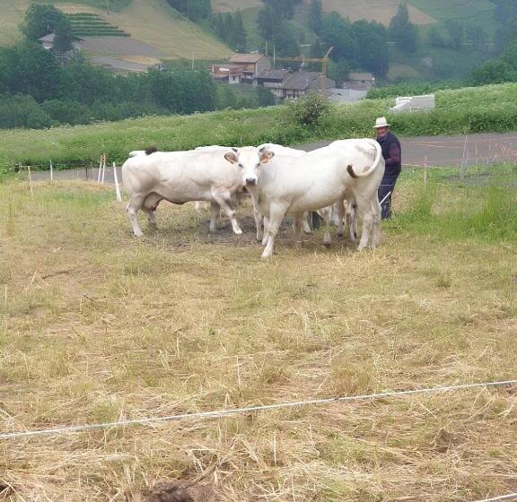 צימר Antica Casa Occitana