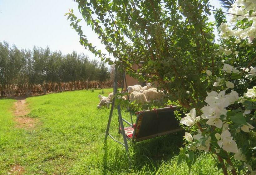 민박 Dar Nzaha Zagora