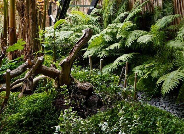 تختخواب و صبحانه Jungle Stay In A Hidden Paradise