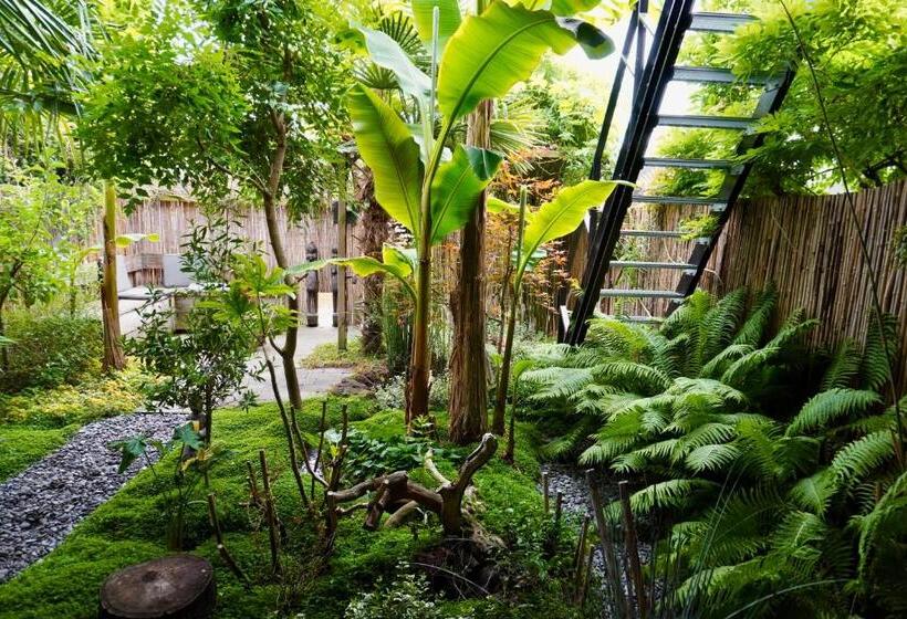 تختخواب و صبحانه Jungle Stay In A Hidden Paradise