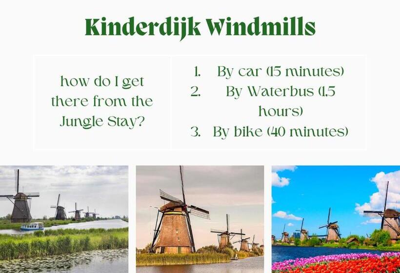 تختخواب و صبحانه Jungle Stay In A Hidden Paradise