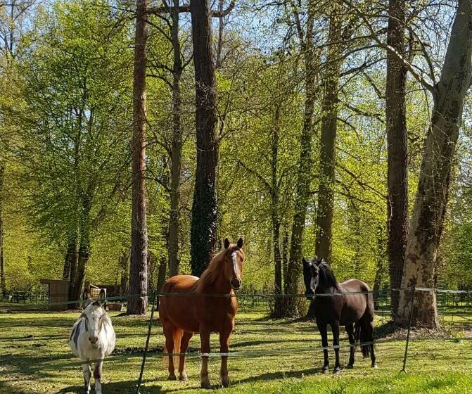 مبيت وإفطار Les Sabots Du Parc