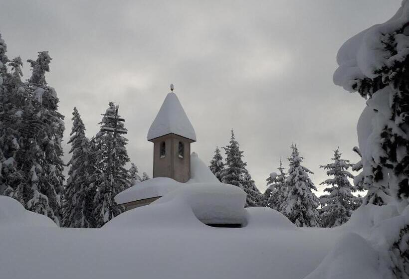 مبيت وإفطار Mountain Residence Alpenhof   Company Hotel Alpenhof Kg Sas Der Gasser Renate