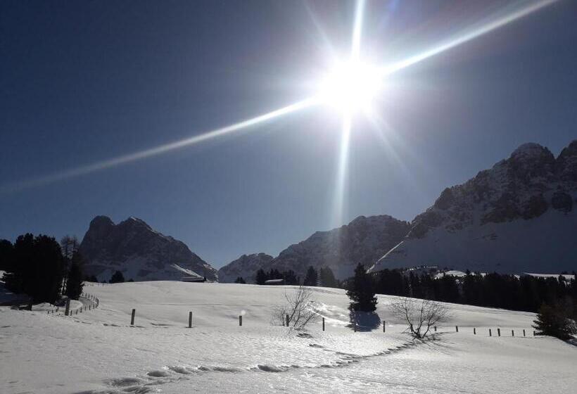 مبيت وإفطار Mountain Residence Alpenhof   Company Hotel Alpenhof Kg Sas Der Gasser Renate