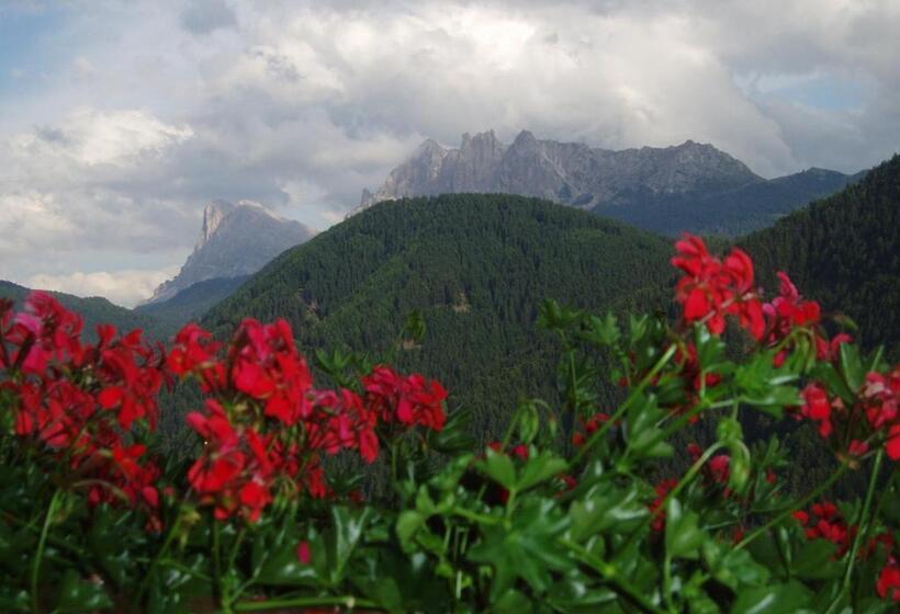 مبيت وإفطار Mountain Residence Alpenhof   Company Hotel Alpenhof Kg Sas Der Gasser Renate