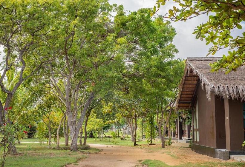 Отель Club Mango Resort