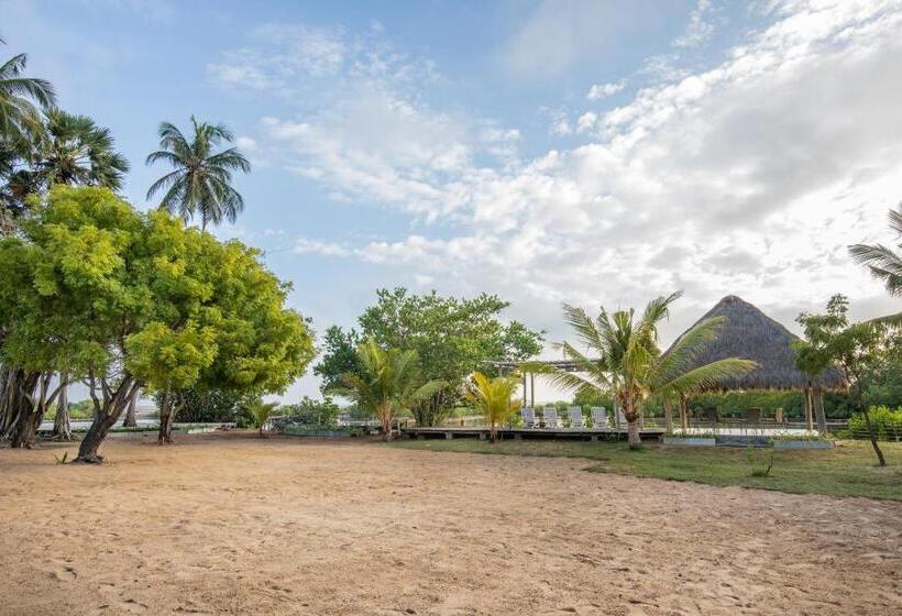 Отель Club Mango Resort