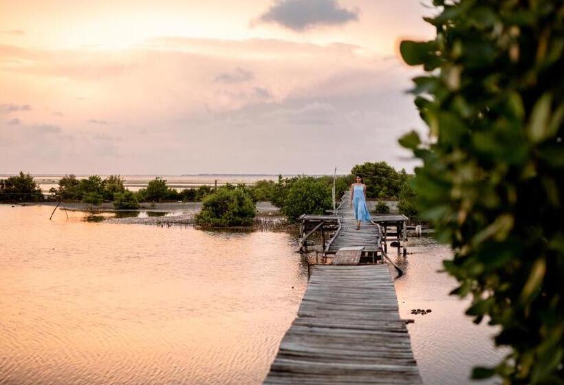 Отель Club Mango Resort