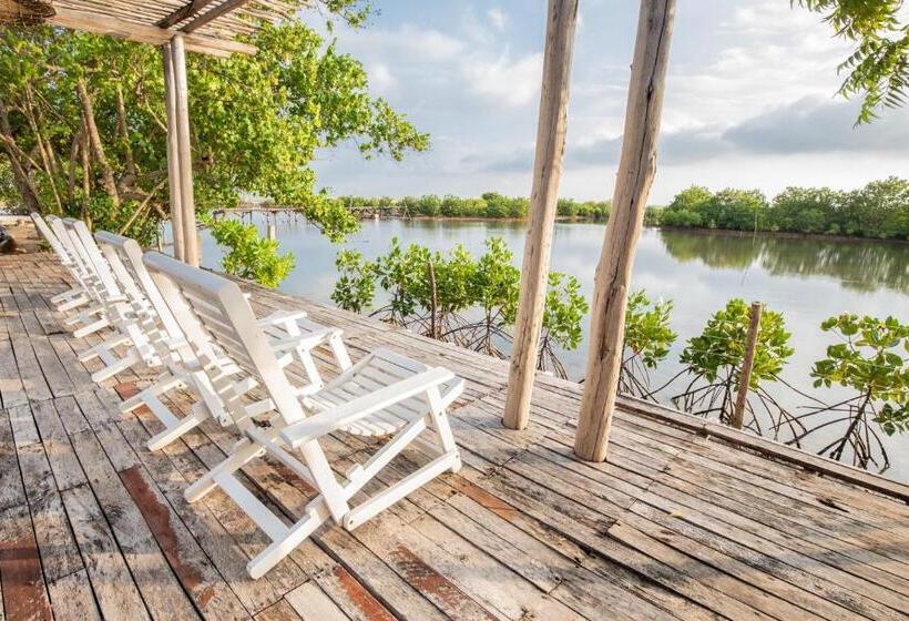 Отель Club Mango Resort