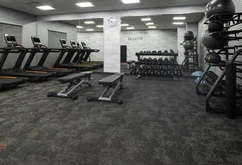 בית מלון כפרי Fairfield By Marriott Inn & Suites Dallas Mckinney