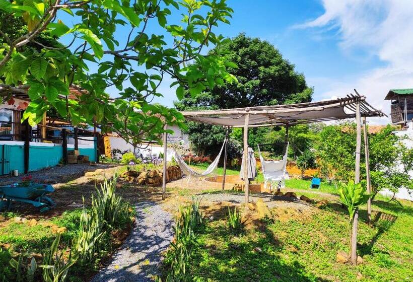 هتل Florré Blossom