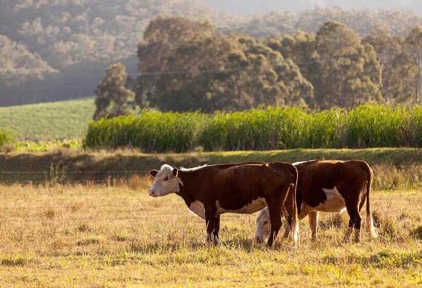 فندق Pokolbin Farm Stay