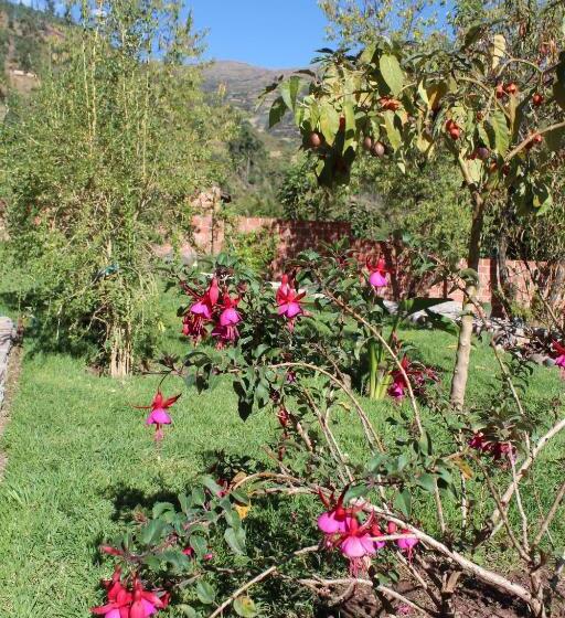 Отель Garden House Huerta