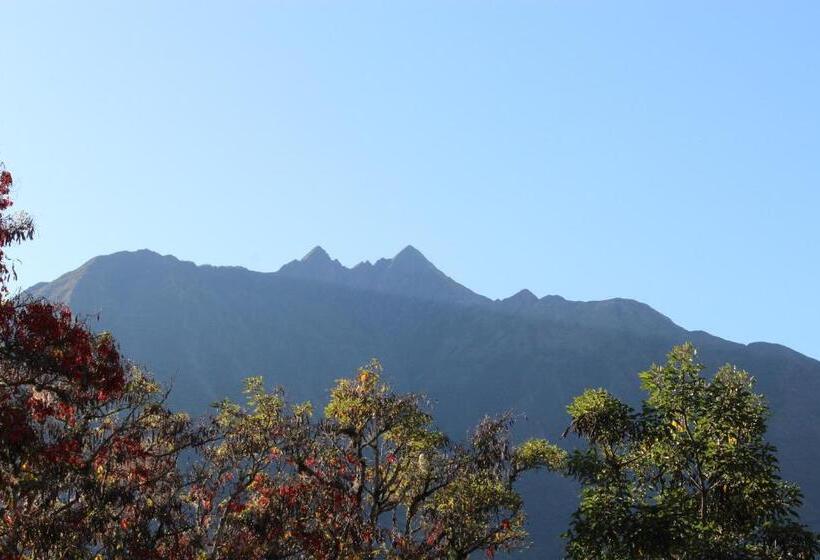 Отель Garden House Huerta