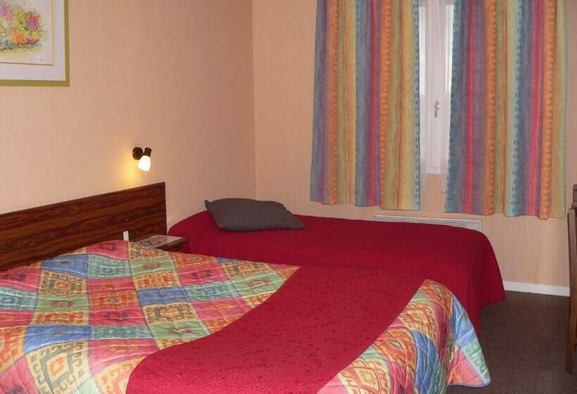 Отель Hôtel Le Cygne