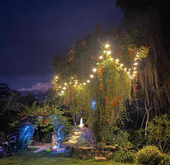 酒店 Posada Don Agustin