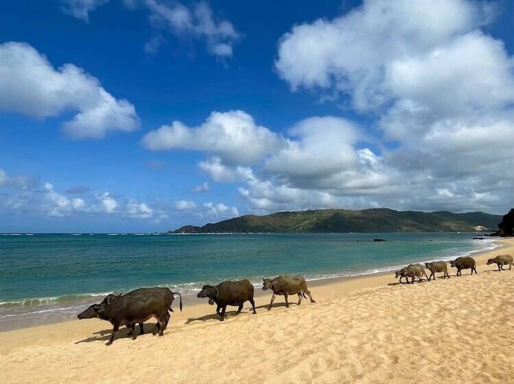 Pullman Lombok Merujani Mandalika Beach Resort