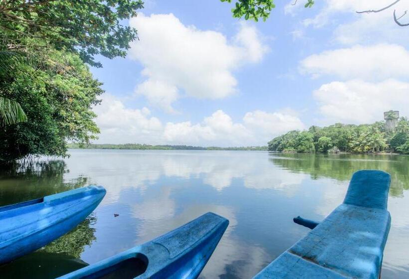 호텔 Scenery River Star