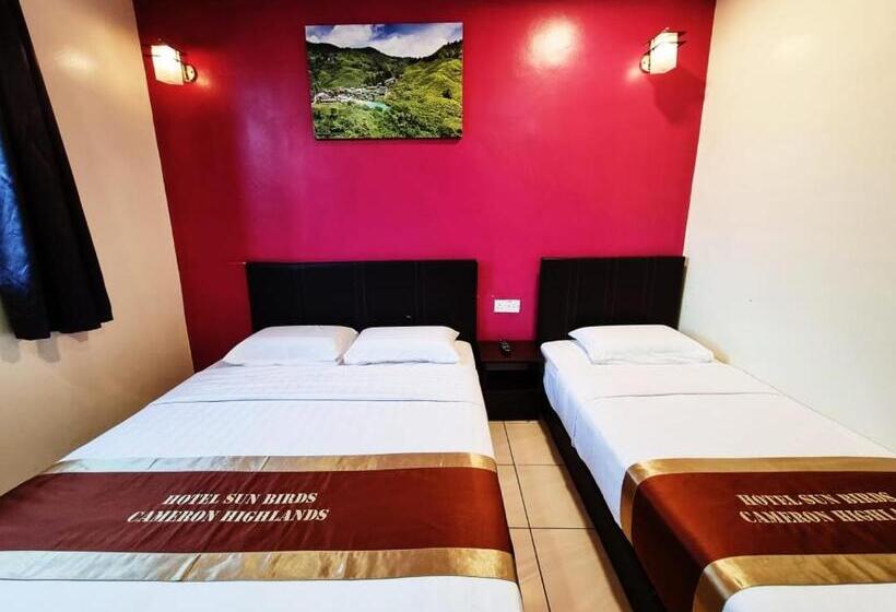 فندق Sun Birds