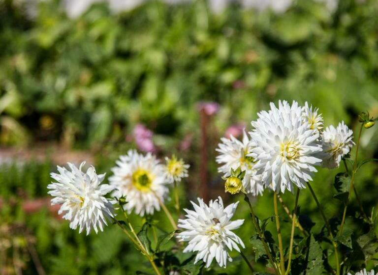 펜션 70 S Wood House