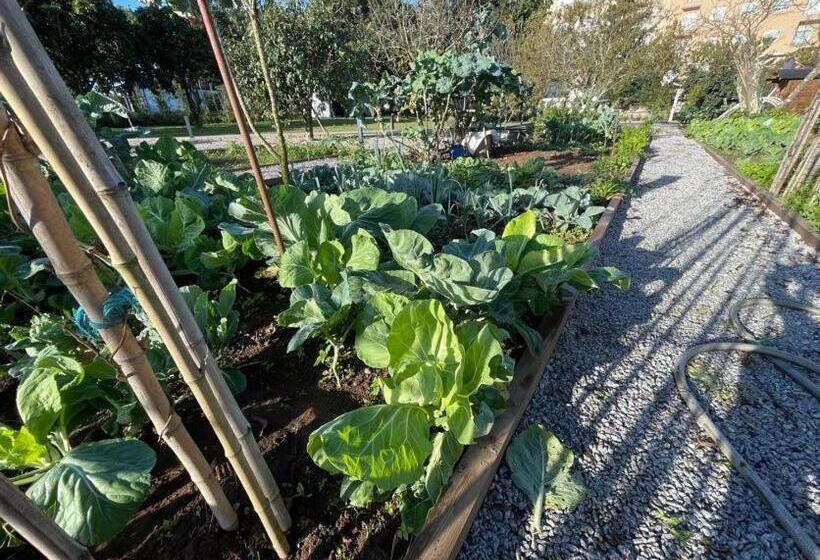 펜션 70 S Wood House