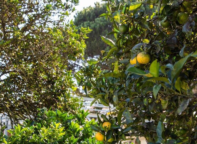 펜션 70 S Wood House