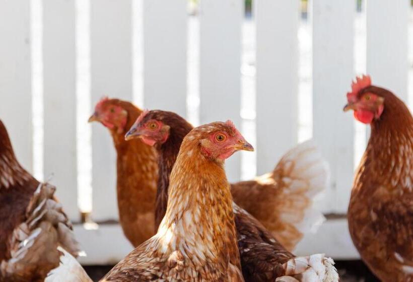 펜션 70 S Wood House