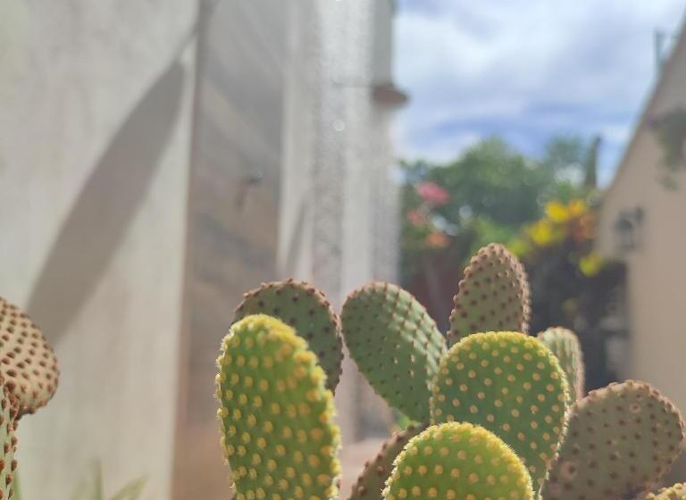بنسيون Suítes De Ventto Em Popa   São Miguel Do Gostso