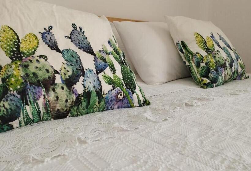 Пансион Ficodindia Rooms