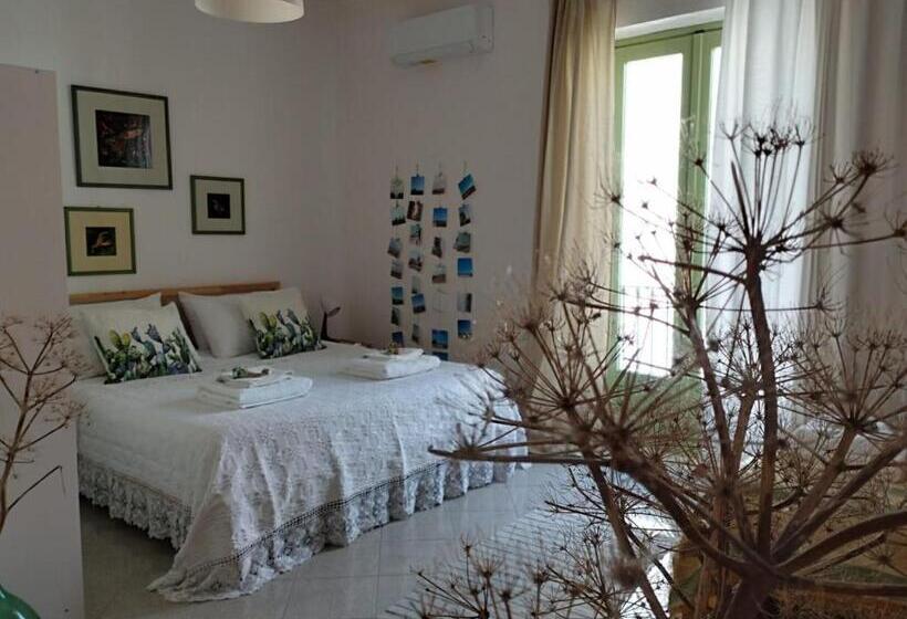 Пансион Ficodindia Rooms