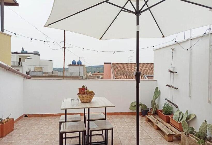 Пансион Ficodindia Rooms