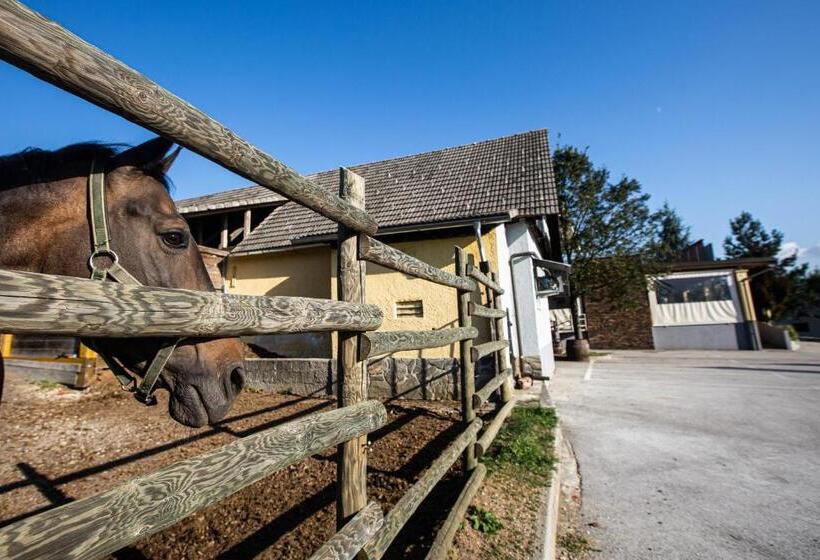 پانسیون Gostilna Pugelj