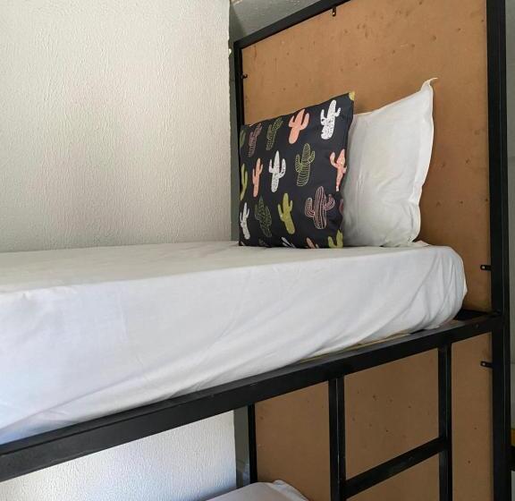 ペンション Pousada E Hostel Pernambucana