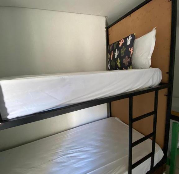 ペンション Pousada E Hostel Pernambucana