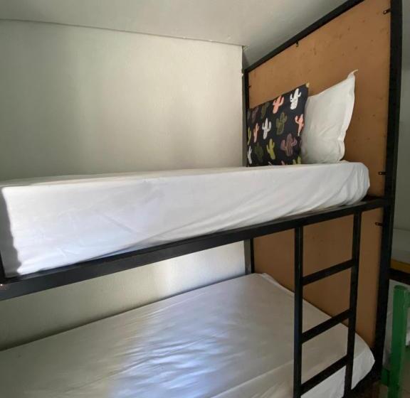 ペンション Pousada E Hostel Pernambucana