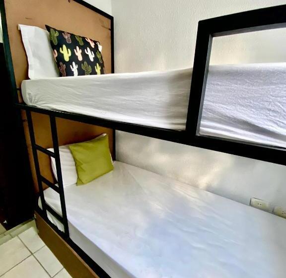 ペンション Pousada E Hostel Pernambucana