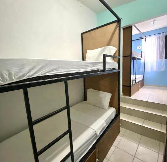 ペンション Pousada E Hostel Pernambucana