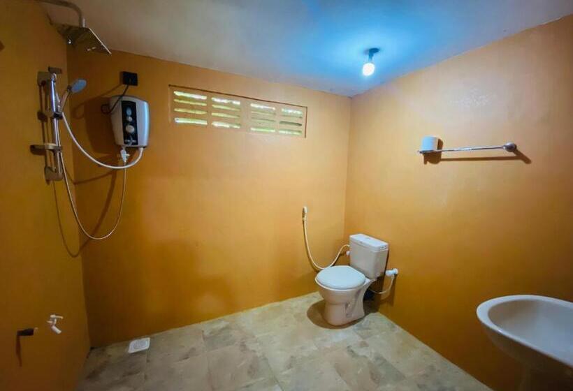 Пансион Sigiri Lion Eco Palace