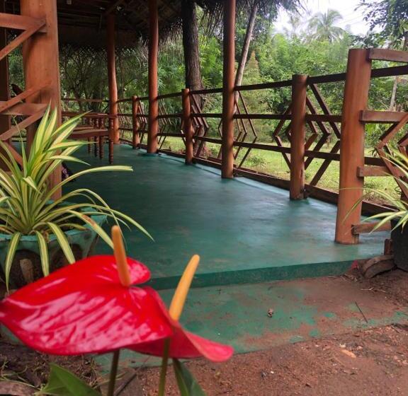 Пансион Sigiri Lion Eco Palace