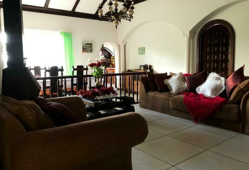 بنسيون Thee View