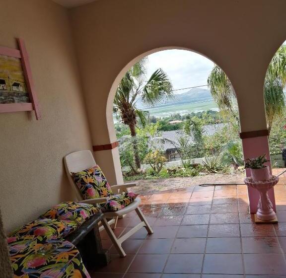 بنسيون Thee View