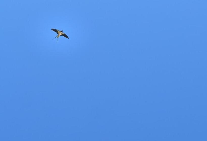 بنسيون Villa Enara